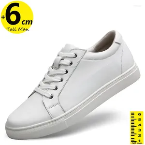 Casual Shoes Mężczyźni Wysokość wysokości Wysokość Wzrost wkładki 6 cm Wstawki podnoszące dla trampek windy dla mężczyzn