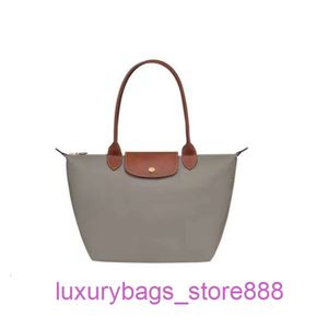 디자이너 가방 상점은 Falong Xiang 70 번째 기념일 클래식 Nylon One Shoulder Handheld Tote Underarm Mommy Folding Shoppingo3rc