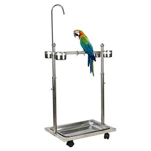 Produttore all'ingrosso panoramica per pappagallo in acciaio inossidabile stand con stick stick per pappagallo forniture pappagalli con giocattolo altalena