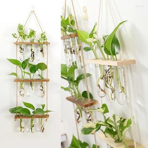 Vasi 1 set di pianta idroponica per prova della pianta per provetta mini parete appesa piante di propagazione di legno decorazioni per ufficio fiore