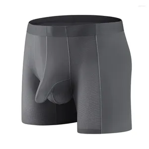 Underpants Boy Ice Silk Underwear For Men Sexy Boxer Shorts U-shaped Bag Elephant Trunk Pants Summer Breathable Extended Sports Panties