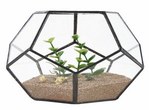 Pentágono de vidro preto Pentágono geométrico Terrarium Janela decoração da soleira da vasa de flores Plantador DIY Caixa de exibição DIY Sem planta T2001047507228