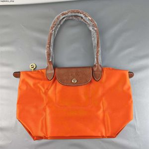 Luxus Handtasche Designer Umhängetasche Crossbody Bag Tasche Klassische Nylon bestickt