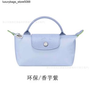 Luxury Handbag Designer Shoulder Bag Crossbody Bag Bun Mini Dumpling Bun New Handbag Bag Mini Crossbody Bag Nylon Womens Bag Makeup Bag7DDU