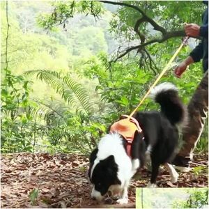 Colares de cachorro colares revolucionam sua experiência de pé de estimação com o time de costas retrátil Matic integrado coleira integrada - perfeita dhijz