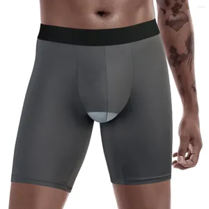 Underpants 1pc Sexy Men's Underwear