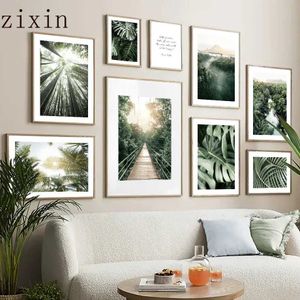 RS Coconut Tree Bamboo Forest Mountain Citaggio di Mall Art Canvas Pittura e stampe Immagini a parete per soggiorno Poster decornordici J240505