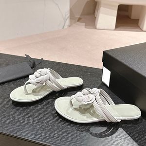 THONGE CLASSE THONGS SANDALS SANDALS DIPIP FLOPS 2 CINGHI CON CASCHIO CAMELLIA SCOLORE SUCCHIO SLUSHES BASSI MULE MULE SCARPE DI BIONDA OUTDOOR GIORNI ESTATE SPIE PER LEISURE STAMPE