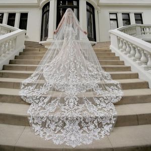 Wunderschöne Designer -Hochzeitsschleier 3 m lange Kathedrale Länge Ein Schicht Spitze applizierte Kante Tüll Brautschleier für Frauen Haarzubehör 234r