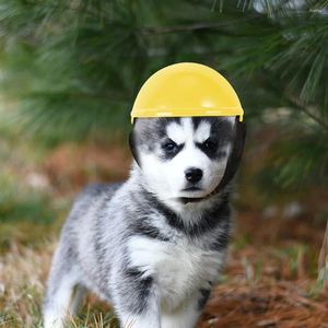 Abbigliamento per cani Cappello da peta