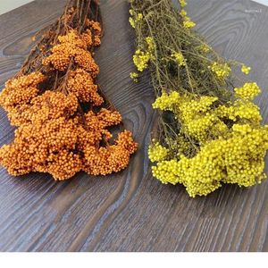 Dekorative Blumen 50g natürliche Hirse Frucht getrocknete Blumen Weihnachtsdekoration Künstliche Pflanzen für Halloween -Broschüren