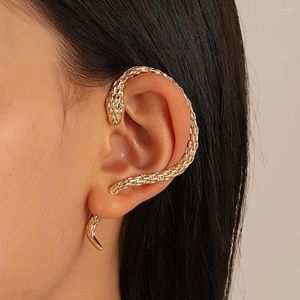 Серьги Серьги намотанные ухо, висящие змеиные серьги в форме змеи, ретро преувеличенные нишевые пары дизайн темперамент