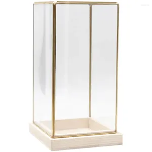 Vases Vintage Glass Cover Holder Craft Desktop Display Case Table Household Show Rack Transparent Stand Countertop Box