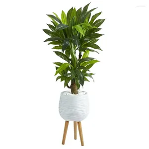 Decorative Flowers 46"H Corn Stalk Dracaena Artificial Plant In White Planter With Stand (Real )