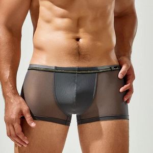 Underpants Men Ice Silk Mesh Boxer Shorts Seamless Bugle Pouch Panties See Through Slip Homme Sissy Sheer Gay Underwear Cuecas Briefs 2XL