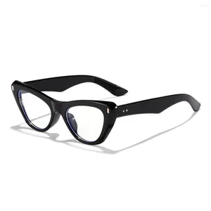 Sunglasses Frames Europe And The United States Retro Cat Eye Fashion Thin Advanced Sense Of Trend Men Women Anti-blue Glasses