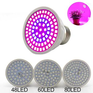 Grow Lights 10pcs 60 80 Светодиодная светодиодная лампа