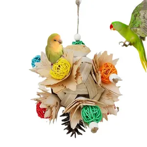 Другие птицы поставляют небольшие попугайные игрушки красочные натуральные деревянные щепы, жуют декоративные мультифункциональные украшения для птиц.