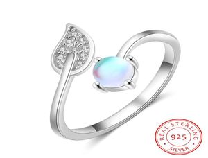 Regulowane otwarte kobiety pierścionek 925 Pierścionek zaręczynowy srebrnego kamienia księżyca z sześcienną cyrkonią kamienną biżuterię prezent ślubny C03063822019