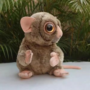 Variety of Animal Dolls Polar Bear Rabbit Kangaroo Koala Big-eyed Lemur Plush Toys - Cute Gifts for Children 240511