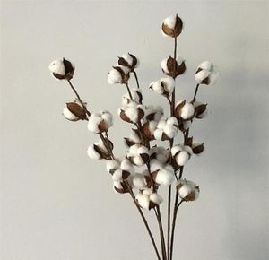 Flores decorativas grinaldas de lâmina de flores seca algodão ramo 6 cabeça de simulação longa árvore de casamento decoração de casamento artificial2632946