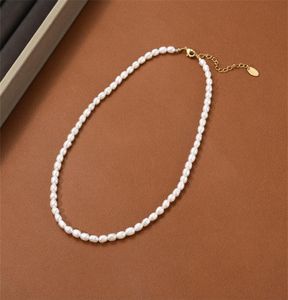 Naszynowy naszyjnik z koralikiem ryżu słodkowodnego Pearl French Retro wszechstronny barokowy łańcuch obojczyka biżuterii Prezent 85222757