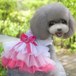Vestido de vestido de verão de cachorro vestido de cachorro pequeno princesa doce princesa fofa malha de renda de renda respirável multi-camada