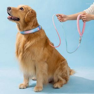 Colarinhos de cachorro escorregões de chumbo treino forte nylon durável sem puxar corda para cães de cachorrinho devados médios pequenos