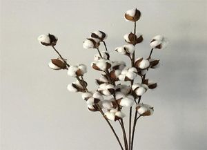 Decorative Flowers Wreaths Flone Dried Flower Cotton Branch 6 Head Long Simulation Tree Home Wedding Decor Artificial5907926