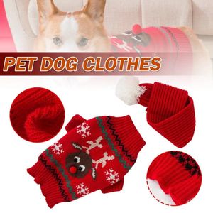 Abbigliamento per cani 1 pc cartone animato maglione cucciolo inverno abbigliamento per cagnolini per cani da Natale in tessuto all'uncinetto in tessuto