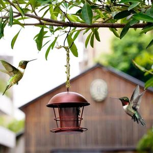 Outros pássaros abastecem alimentador de metal selvagem com gancho selvagem para arredores de decoração de pátio de jardim ao ar livre
