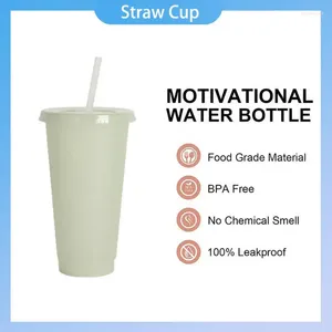 Tumblers 710ml Straw Cup With Lid Color Change Luminous Coffee Reusable Cups Plastic Tumbler Drinkware Matte Finish Drink Mug