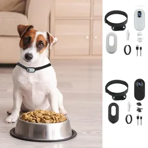 Collari per cani Cat Camera Collar Wireless Tracker Sport Action Body con registrazioni per animali domestici all'aperto