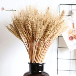 Fiori decorativi 50/100 pezzi naturali vere a orecchie di grano Pampas essiccate per feste di nozze decorazione artigianale fai -da -te boho decorazioni per la casa accessori