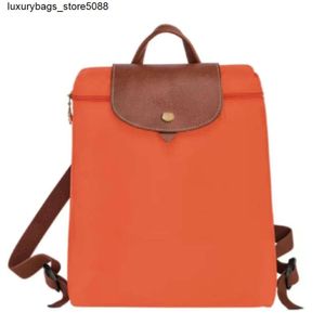 Luxury Handbag Designer Shoulder Bag Crossbody Bag Bag Classic Backpack Large Capacity Folding Backpack Nylon Bag Womens BackpackNOP3
