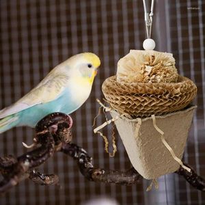 Outros pássaros suprimentos de pássaros papagaio mastigar brinquedos de papel mastigando fofo engraçado por exercícios para explorar a reprodução relaxante