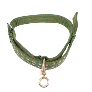 Hundhalsar Tie Cow Collar Chain Halsband Livestock Får som drar rep Traction Band Nötkreatur Trapning Leash Canvas Supply Häst säkerhet