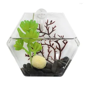 Vasen Glaswand Pflanzer Hexagon Propagation Station Hanging Terrarium Transparent Blumen Vase Aquariumbehälter