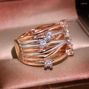 Cluster Rings Fashion Women's Unique Rose Gold Round Statement S925 Silver White Zircon Stone Inlay Bridal Engagement Wedding Present