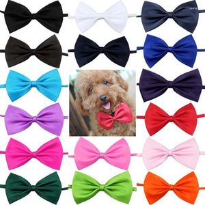 Hundkläder justerbar 50/100 st/parti blandar färger bowties grossist valp kattunge krage hundar kaniner bågar husdjur grooming produkt