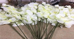 20pcslot I rami di orchidei bianchi interi fiori artificiali per orchidee decorazioni per feste di nozze 8162692