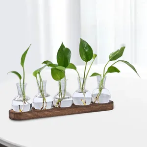 Vases Flower Vase Plants Holder Decorative Plant Terrarium For Tabletop Home Shelf