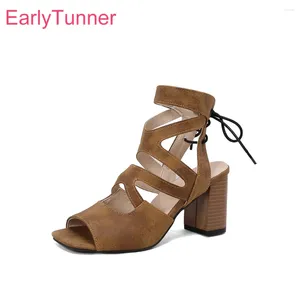 Sandały 2024 Summer Glamor Brown Rose Women Gladiator High Heels Lady Party Buty Plus Mały duży rozmiar 12 32 43 46 50