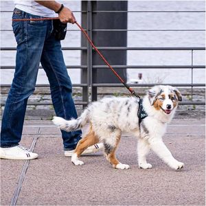 Köpek yakaları Pet Traception Halat Tasma Rahat yastıklı saplı, küçük orta büyük için son derece yansıtıcı dayanıklı sağlam sağlam