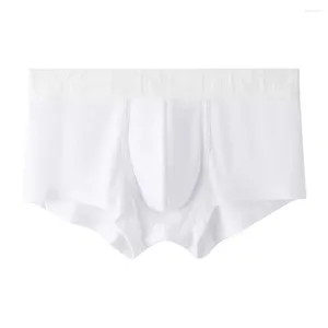 MUITAS PONTAS 1PC CURCOS DE CURTOS MENINOS SEXY MENINOS CAIS MEDIENTE RUSTHER BUSHERS BUSTES PACHEIRA BURNCHS MAN TRUNCHS LINGERIE