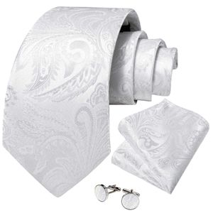 Neck Tie Set Elegant White Paisley Silk Ties For Men Luxury Wedding Party Groom Accessories Slipsarduk Manschettkropp Cravat Gift
