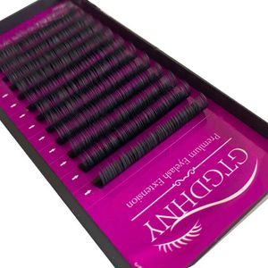 False Eyelashes Personal Classic Lash Extension C/CC/D/DD Curled Russian Matte Artificial Mink Professional Cilio Q240510