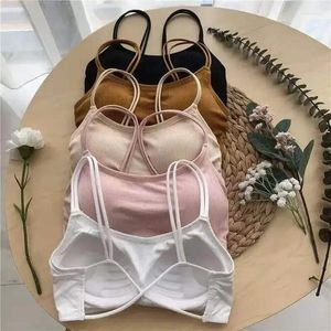 BH Beautiful Rücken BH Bralette Frauen Unterwäsche Feste Farbe nahtloser Crossover-Halfter einteiliger Röhrenernte Top Weibliche Dessous Dessous Dessous