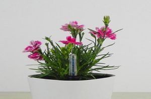 4 stycken vattennivåindikator för krukväxter blommor 34cm2217700