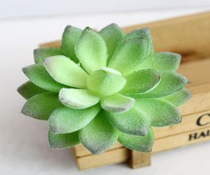 Mini piante succulente artificiali per decorazioni per la casa in plastica verde Fumo succulente cactus simulazione decorazione di uffici finti c19049547400